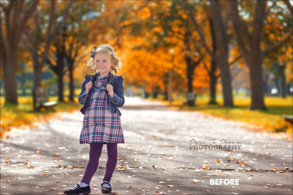 20+ Seasons Photoshop Actions | Free & Premium Download PSD Actions